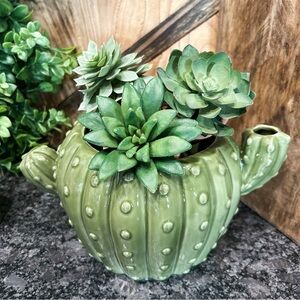 Cactus Planter